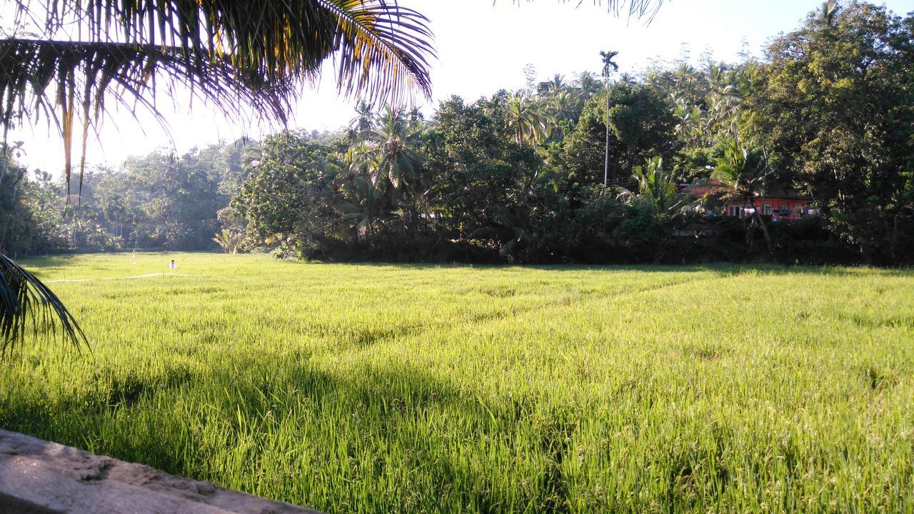 Villa Paddy Fields View Mirissa Zewnętrze zdjęcie